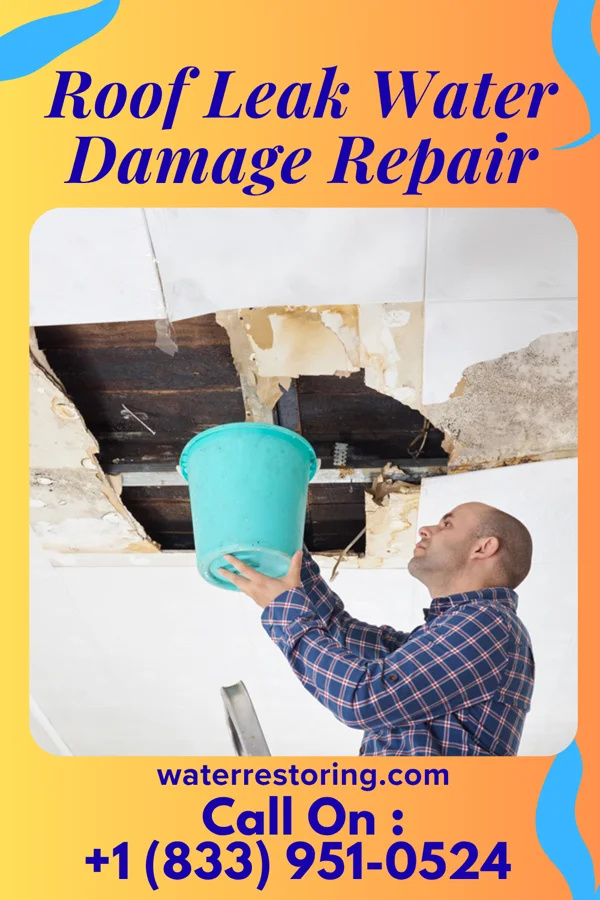 Roof Leak Water Damage Repair in Ottertail, MN
