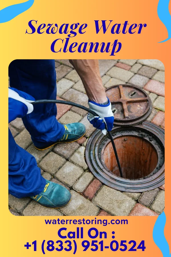 Sewage Water Cleanup in Ottertail, MN